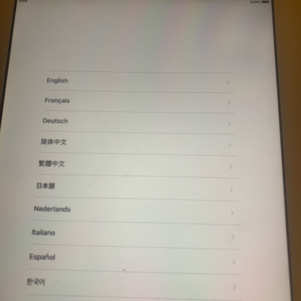 Apple IPad